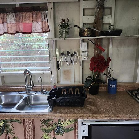 Cabin 2-Rustic Private Stay Near Volcano National Park Fern Forest Exteriör bild