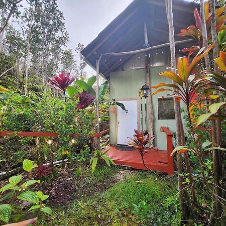 Cabin 2-Rustic Private Stay Near Volcano National Park Fern Forest Exteriör bild