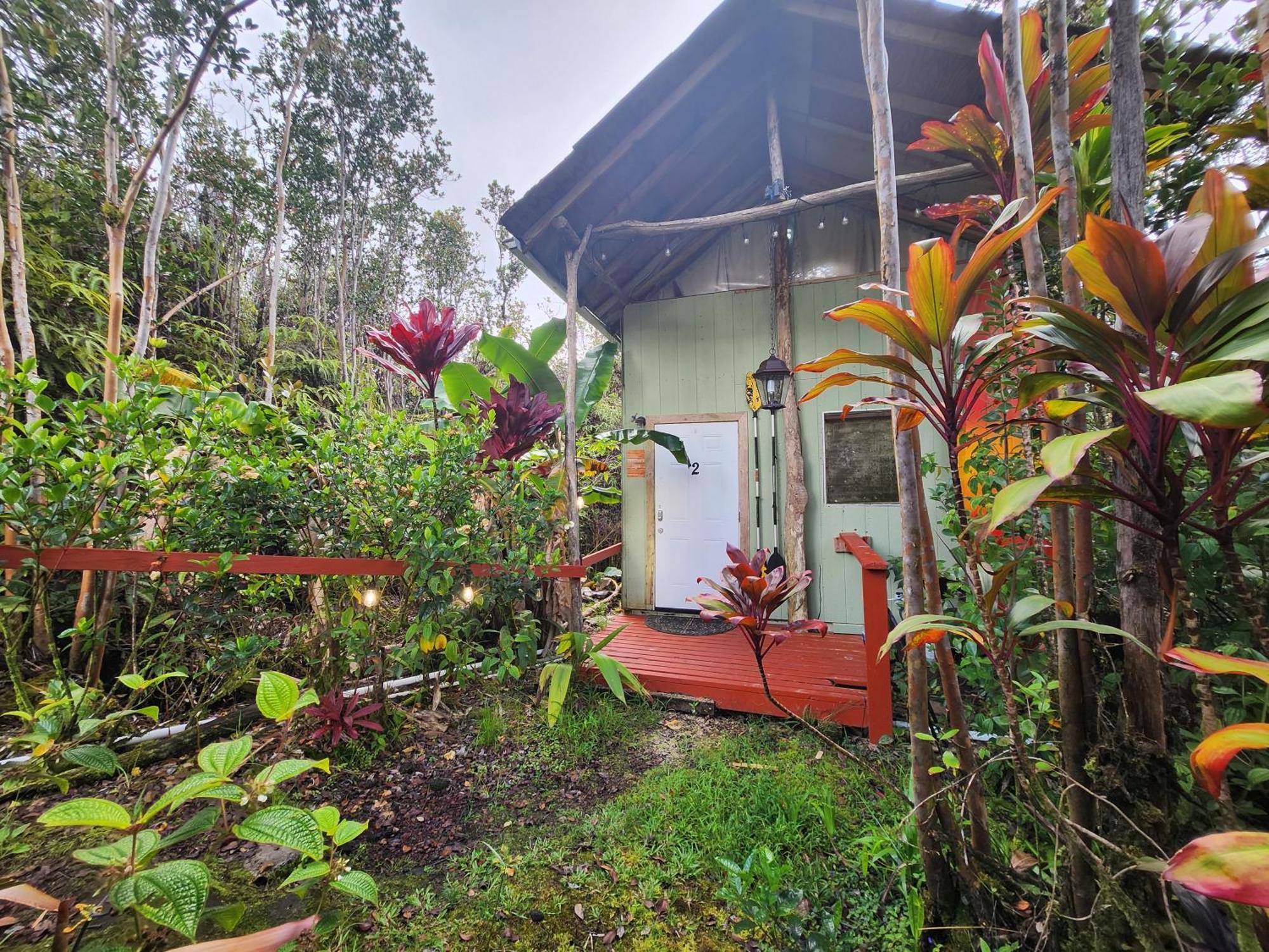 Cabin 2-Rustic Private Stay Near Volcano National Park Fern Forest Exteriör bild